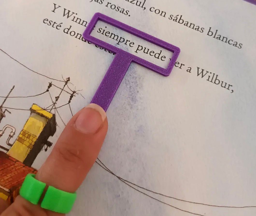 Anillo guia de lectura 2
